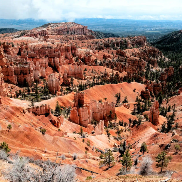 U.S.A. Bryce 10 - Photograph print framed with black frame 30.5 cm X 45.7 cm (12" X 18")