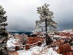 U.S.A. Bryce 2 - Photograph print framed with black frame 30.5 cm X 45.7 cm (12