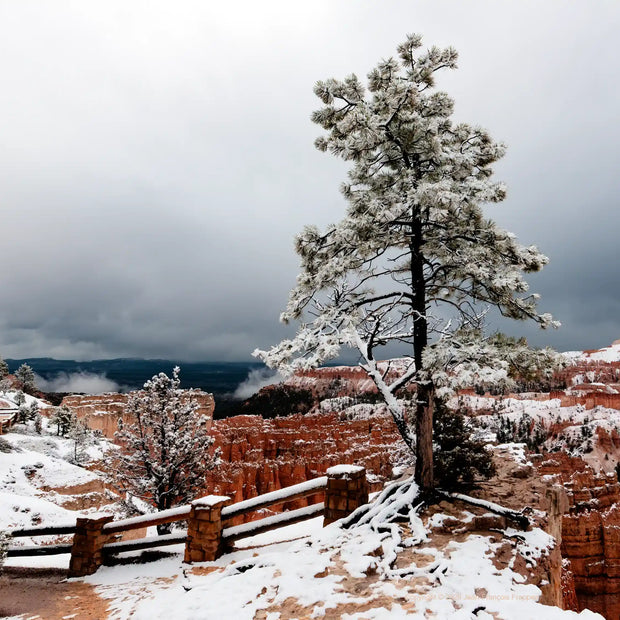 U.S.A. Bryce 2 - Photograph print framed with black frame 30.5 cm X 45.7 cm (12" X 18")