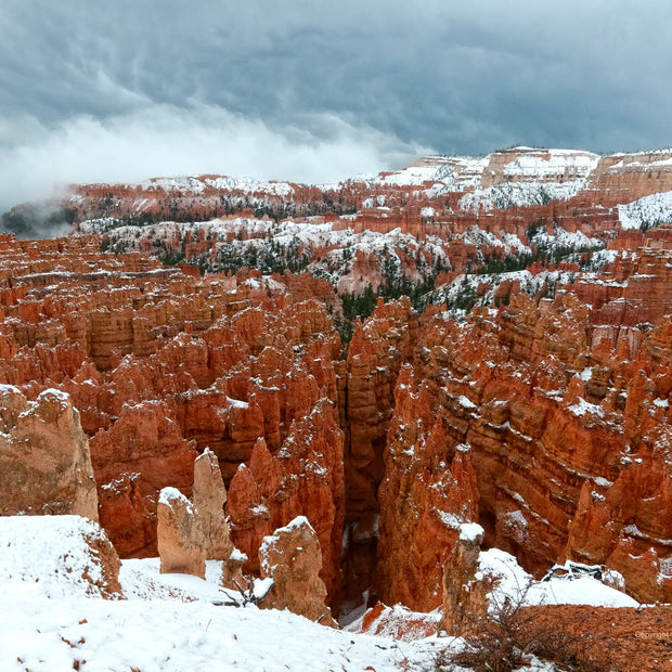 U.S.A. Bryce 3 - Photograph print framed with black frame 30.5 cm X 45.7 cm (12" X 18")