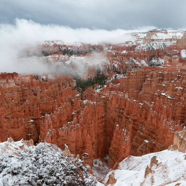 U.S.A. Bryce 4 - Photograph print framed with black frame 30.5 cm X 45.7 cm (12" X 18")