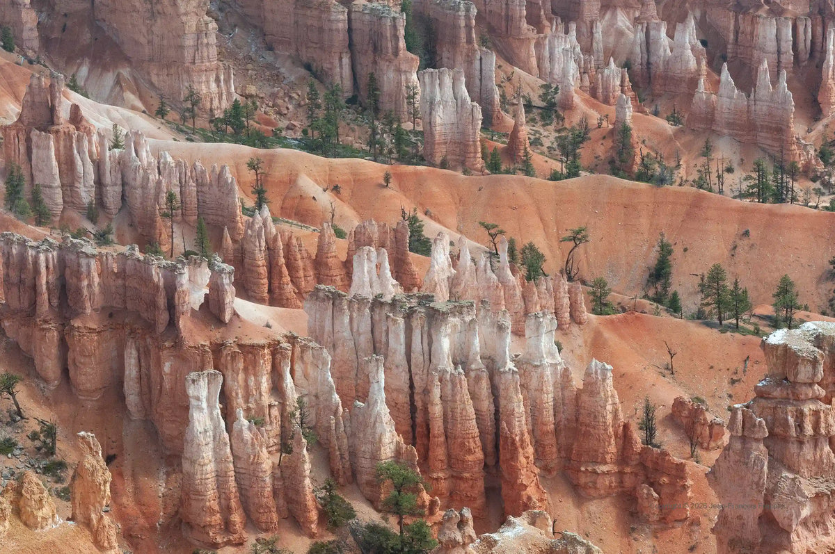 U.S.A. Bryce 8 - Photograph print framed with black frame 40.6 cm X 61.0 cm (16