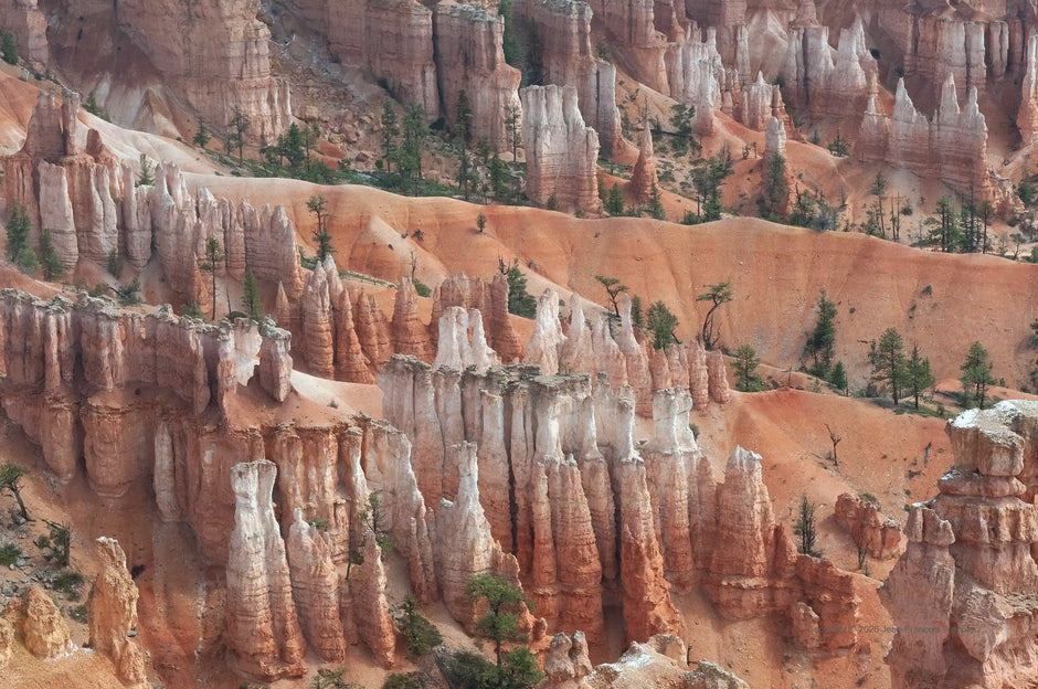U.S.A. Bryce 8 - Photograph print framed with black frame 40.6 cm X 61.0 cm (16" X 24")