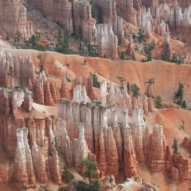 U.S.A. Bryce 8 - Photograph print framed with black frame 30.5 cm X 45.7 cm (12" X 18")