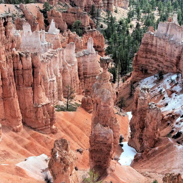 U.S.A. Bryce 9 - Photograph print framed with black frame 30.5 cm X 45.7 cm (12" X 18")