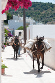 Greece Crete 2- Photograph print framed with black frame 40.6 cm X 61.0 cm (16