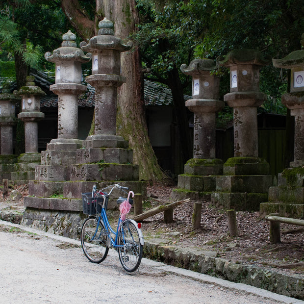 Japan 4 - Photograph print framed with black frame 30.5 cm X 45.7 cm (12" X 18")