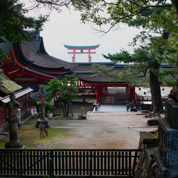 Japan 3 - Photograph print framed with black frame 30.5 cm X 45.7 cm (12" X 18")