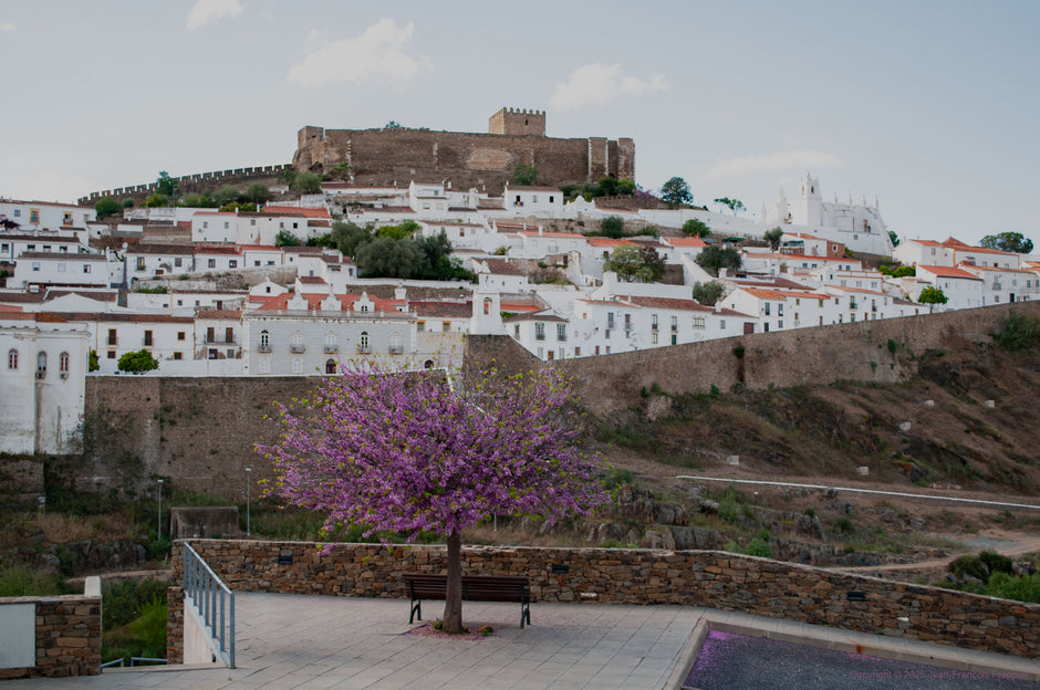 Portugal 8 - Photograph print framed with black frame 30.5 cm X 45.7 cm (12" X 18")