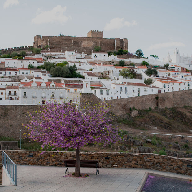 Portugal 8 - Photograph print framed with black frame 30.5 cm X 45.7 cm (12" X 18")
