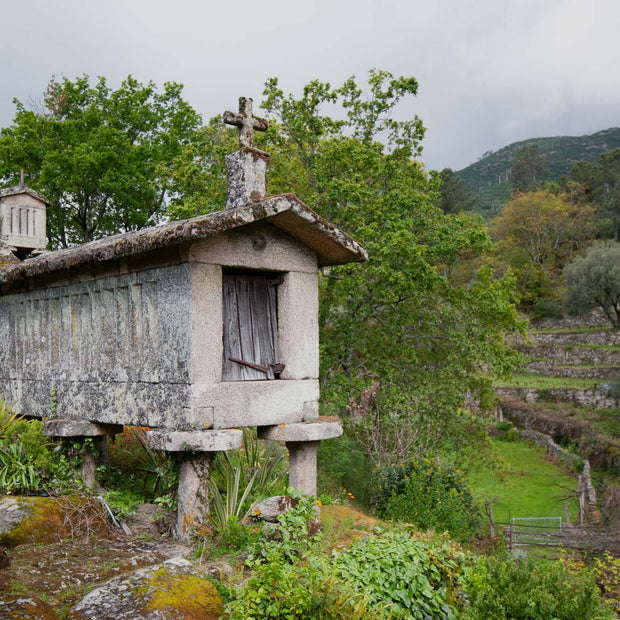 Portugal 5 - Photograph print framed with black frame 30.5 cm X 45.7 cm (12" X 18")