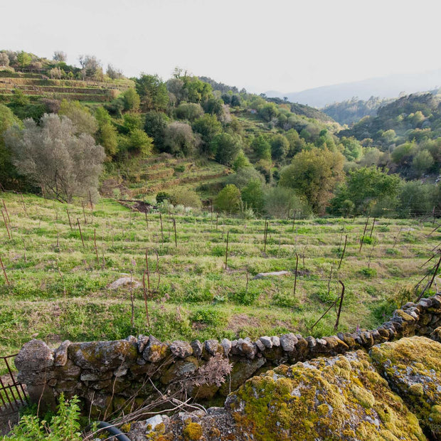 Portugal 20 - Photograph print framed with black frame 30.5 cm X 45.7 cm (12" X 18")