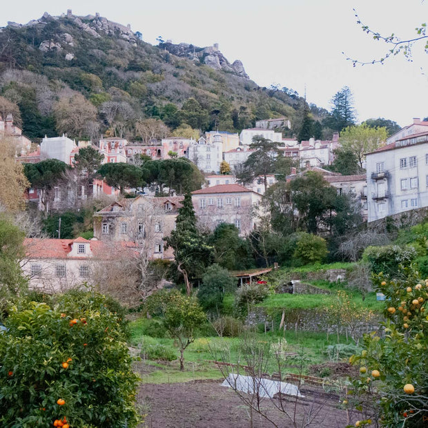 Portugal 14 - Photograph print framed with black frame 30.5 cm X 45.7 cm (12" X 18")