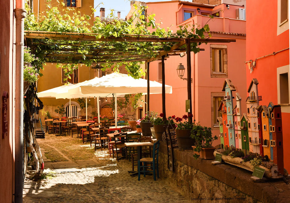 Italy Sardinia 2 - Photograph print framed with black frame 30.5 cm X 45.7 cm (12" X 18")